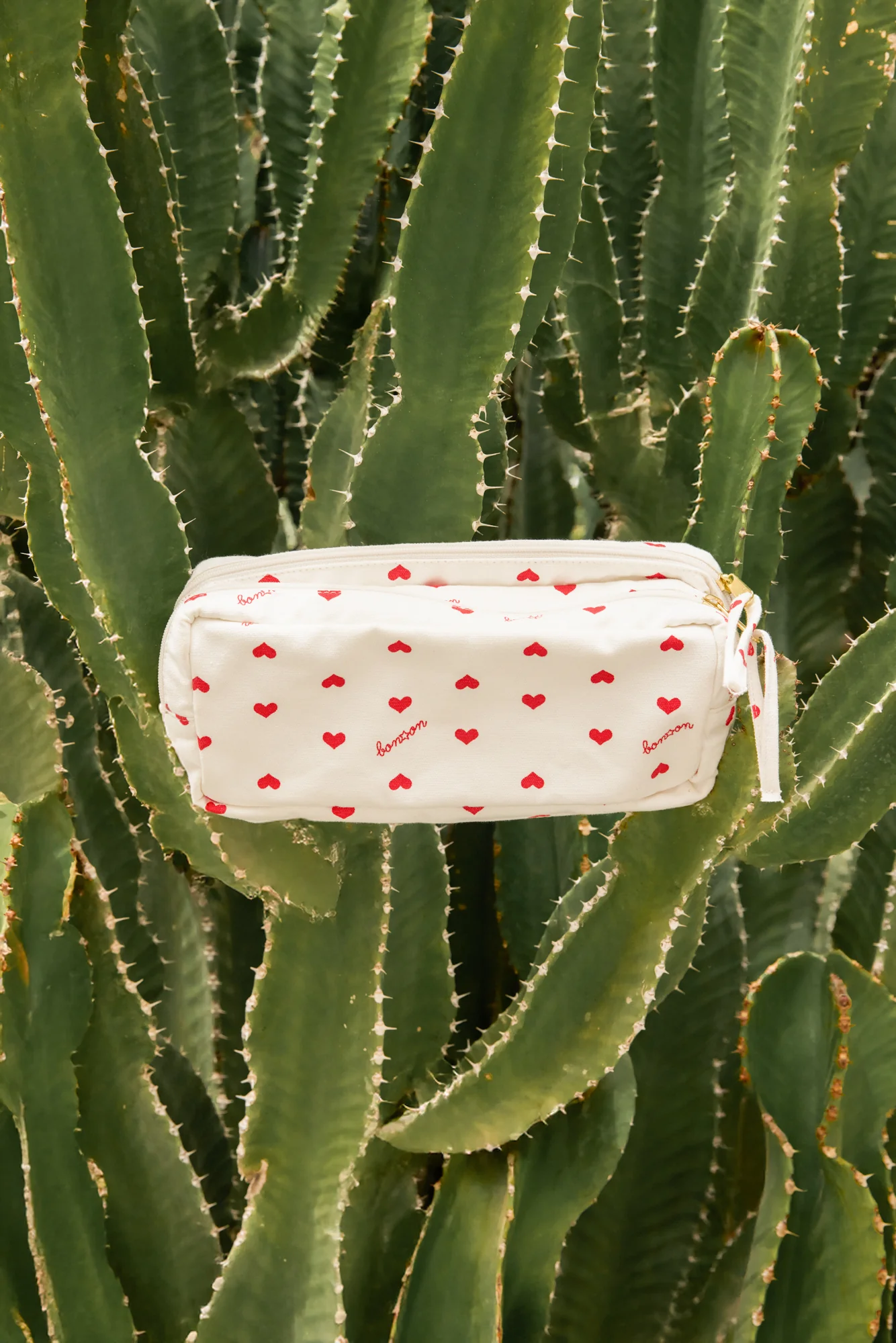 Trousse - Cœurs rouges