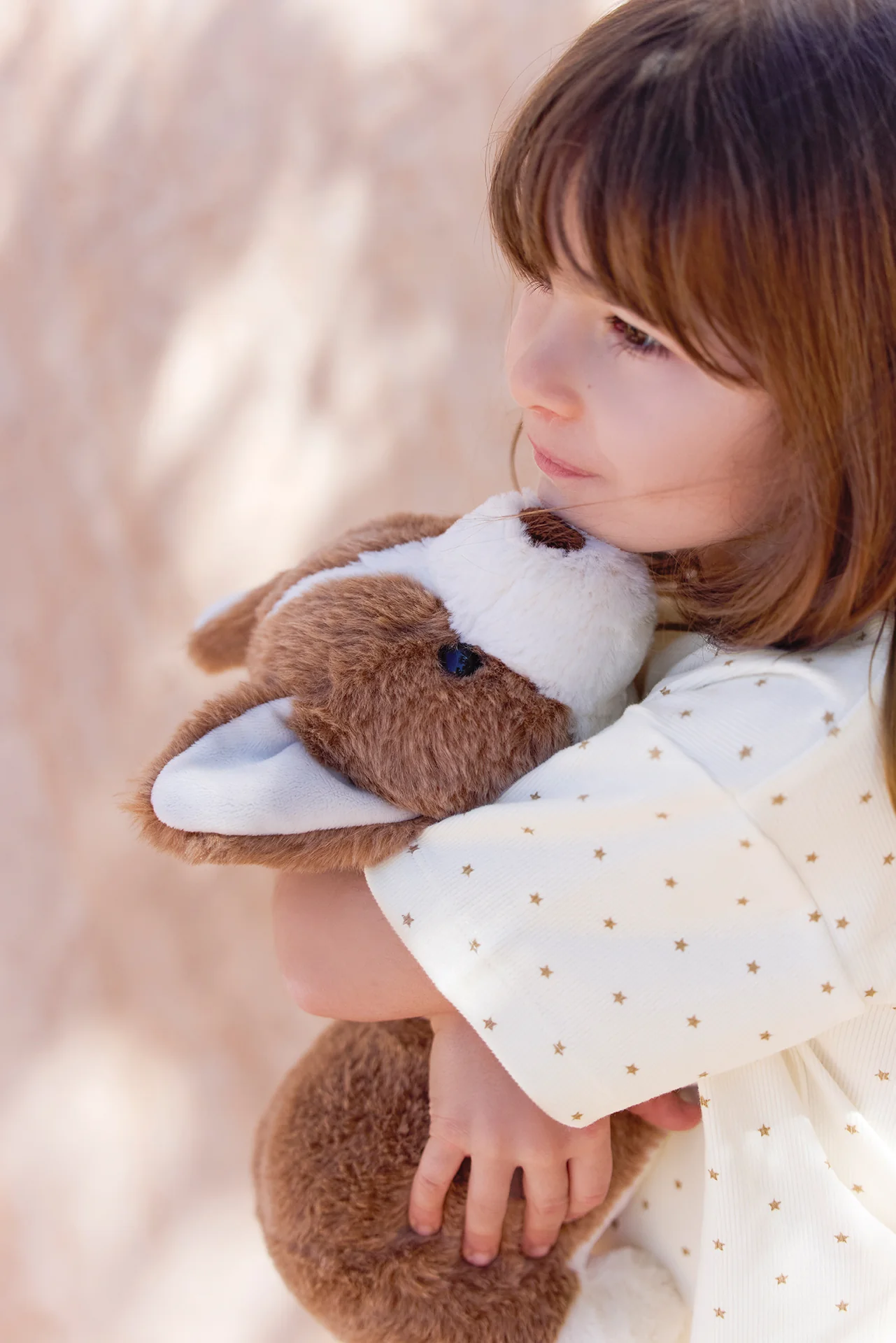 Peluche - Corgi Bernie