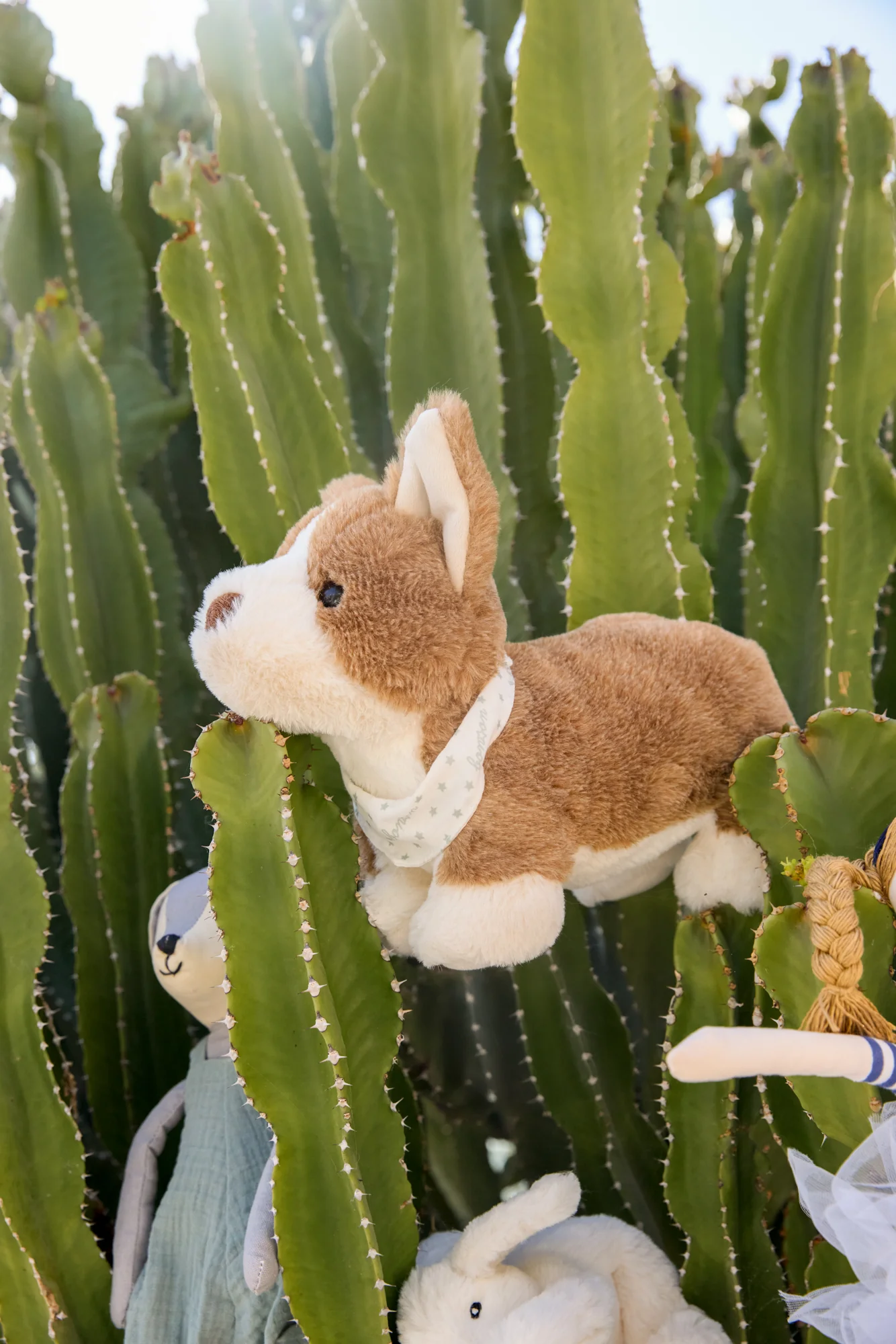 Peluche - Corgi Bernie - Image 2