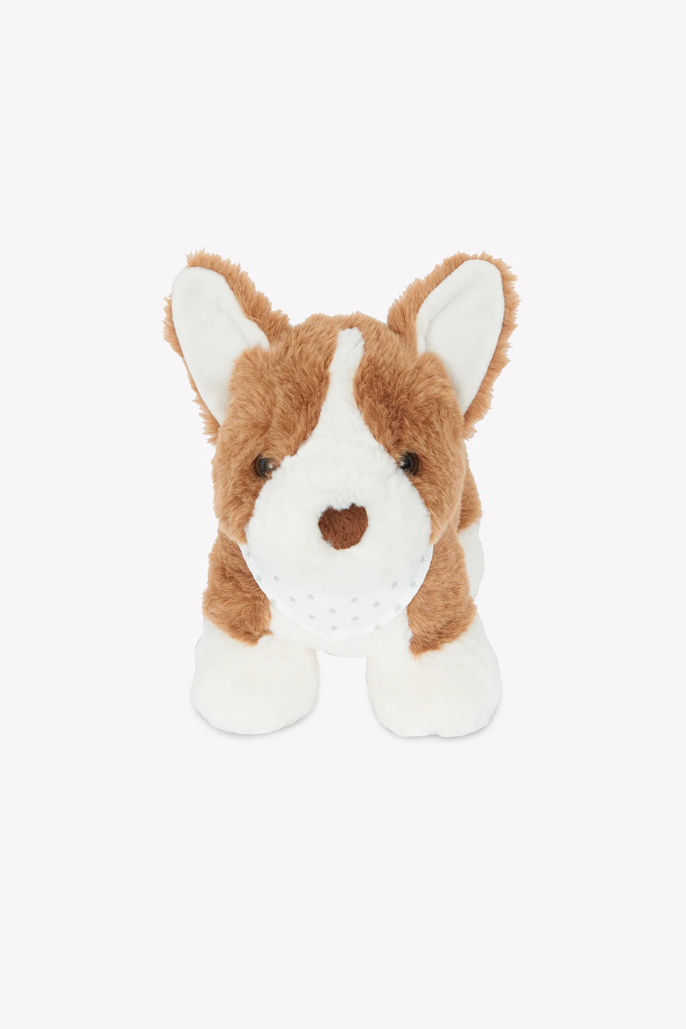 Peluche - Corgi Bernie - Image 6