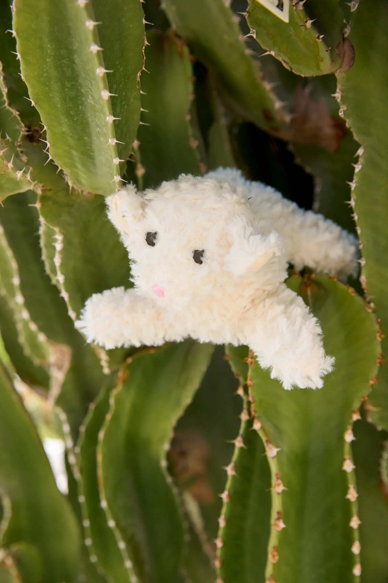 Peluche - Mouton Billie - Image 3